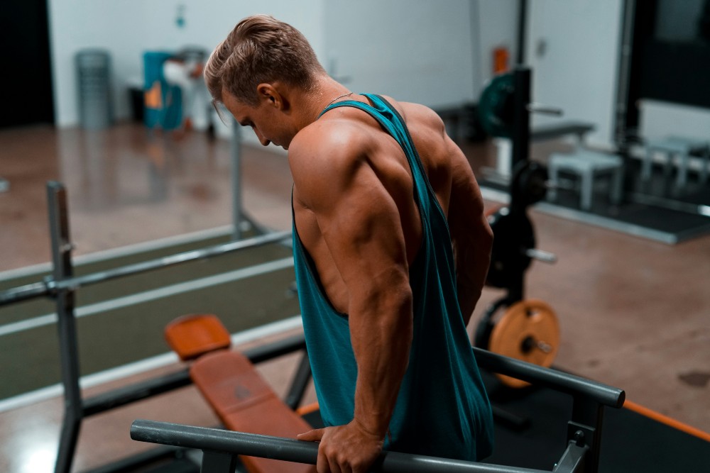 Muscular man doing triceps dips on parallel bars in a gym